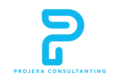 projexaconsultings.com