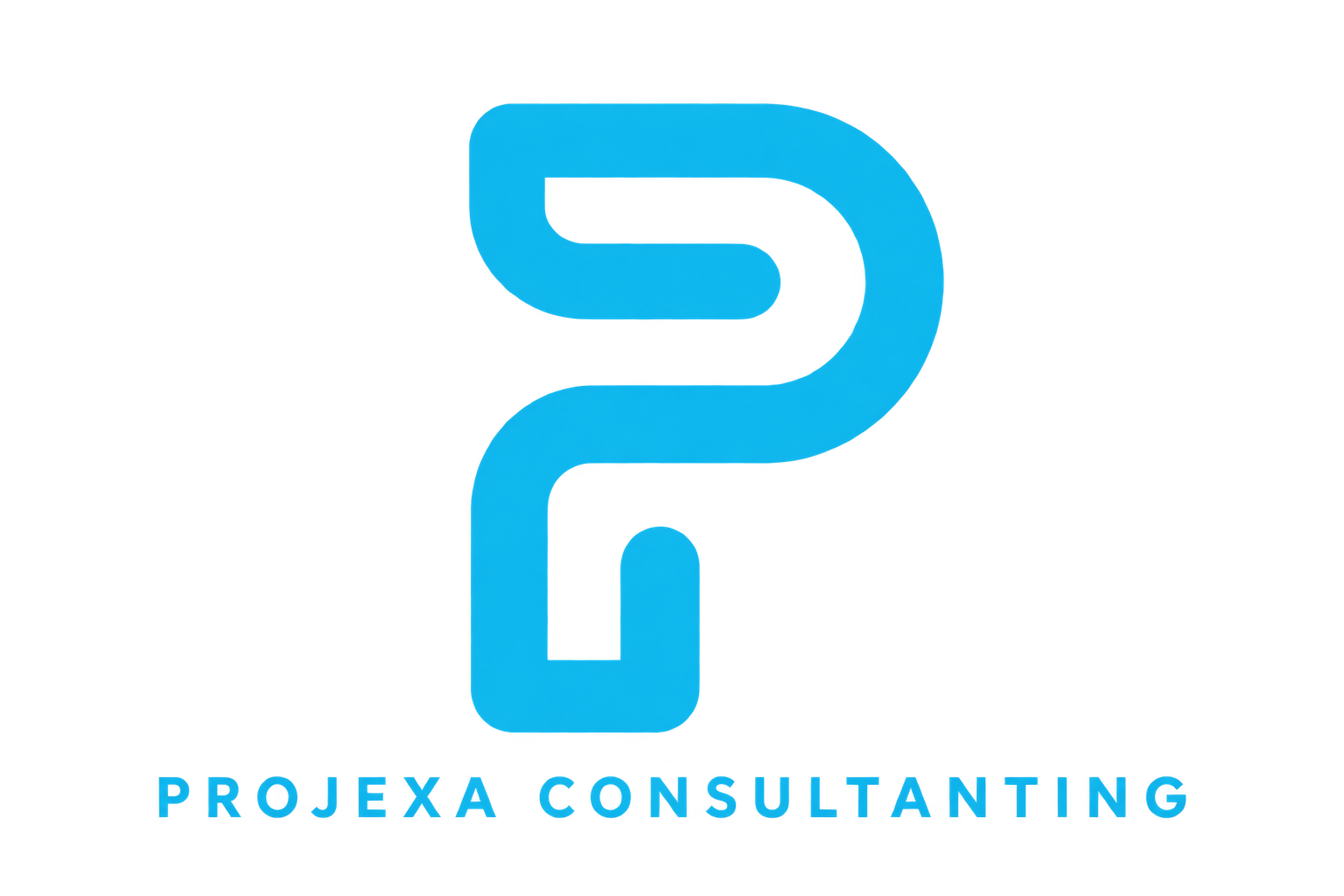 Projexa Consultings