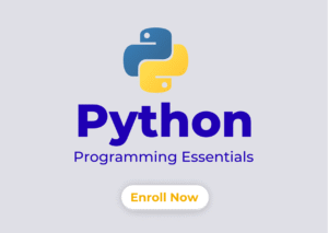 Services python (2) (1)